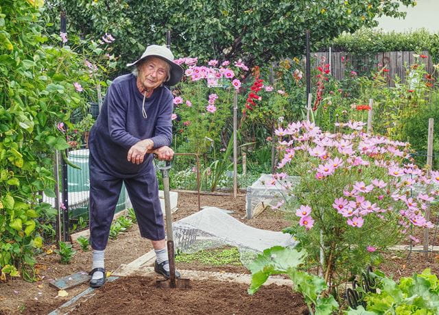 Council on the Ageing