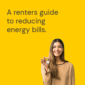 A renters guide to reducing energy bills