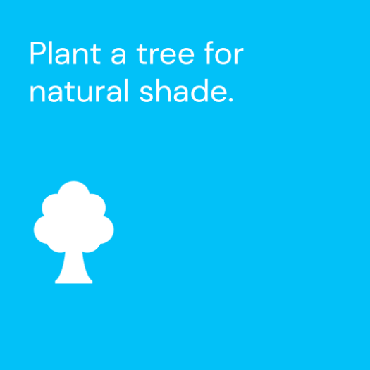 Plant a tree for natural shade.