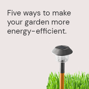 An ActewAGL Energy Saving article to make your garden energy efficient.